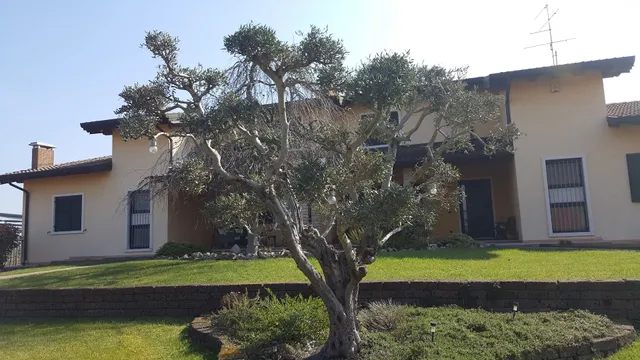 Bed and Breakfast Il Faggio