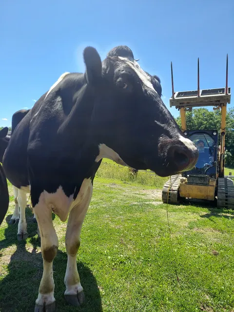 Skylands Sanctuary & Animal Rescue