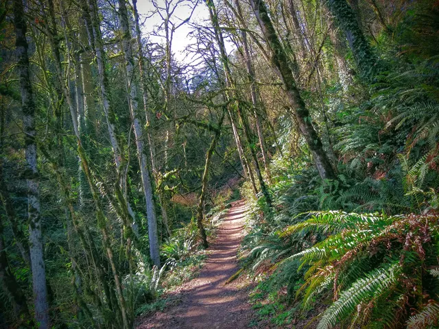 Linnton Loop Hike Trailhead