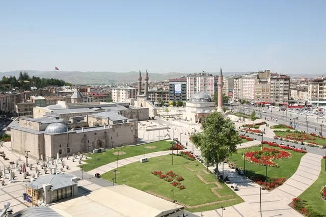 Sivas Meydan Tek Ağaç