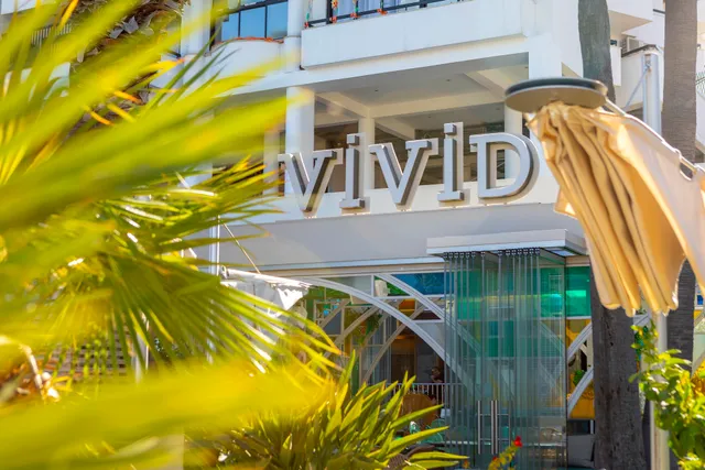Vivid Kitchen & Bar