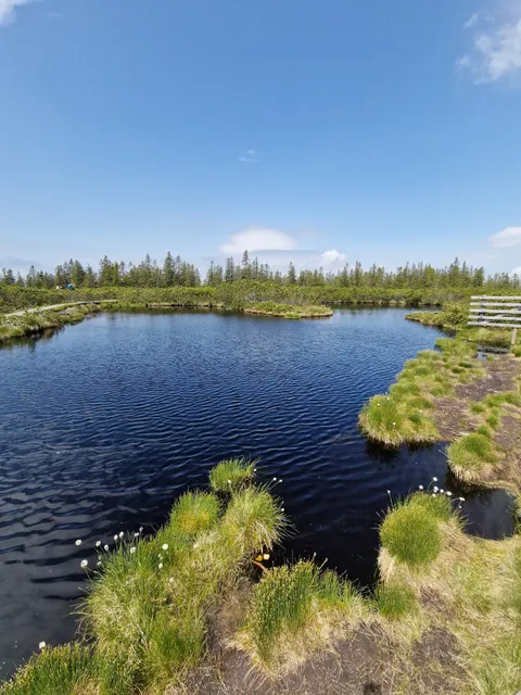 Lovrenška lakes footpath