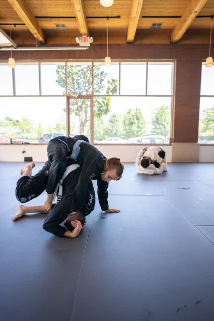 Free Form Jiu Jitsu