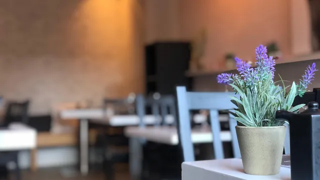 Izakaya fusion Sushi Bar | Santa Perpètua