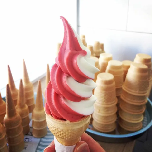 Bajs - Lody Naturalne