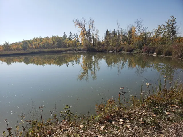 Wetland Boardwalk Trail