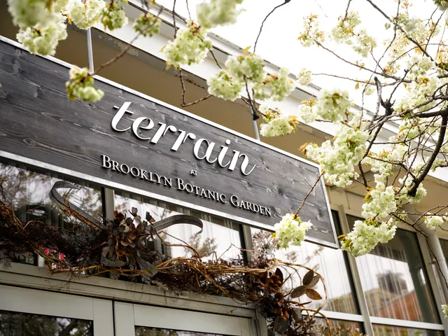 Terrain at Brooklyn Botanic Garden