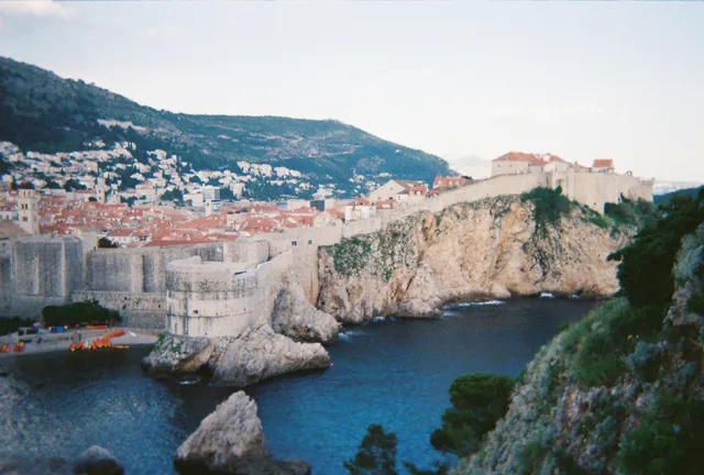 Wolf Camera Photo Design