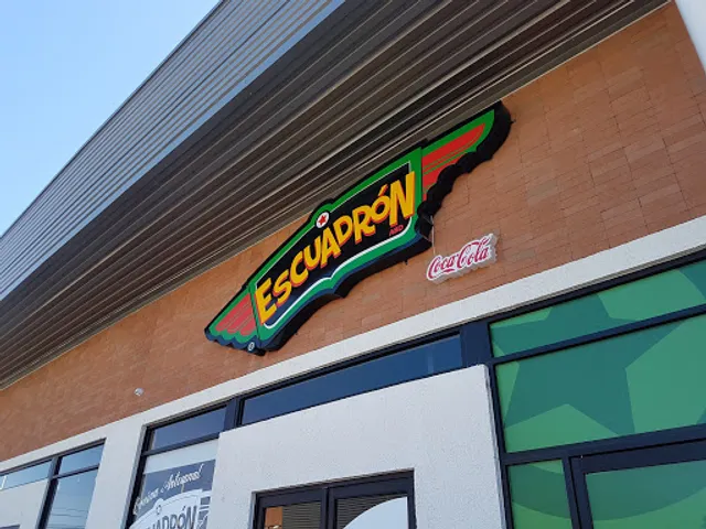 Escuadrón Montados Urbano