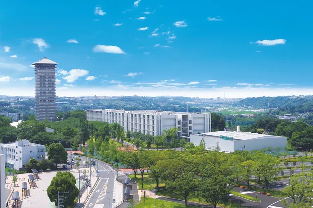 Yokohama University of Pharmacy