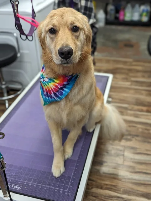 Bentley's Pet Stuff Oak Creek