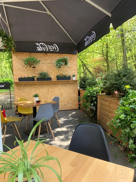 Gruba Ciotka LODY KAWA GOFRY