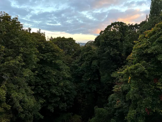 Wolf Creek Ravine Natural Area