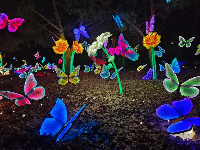 Mágicas navidades Torrejón de ardoz