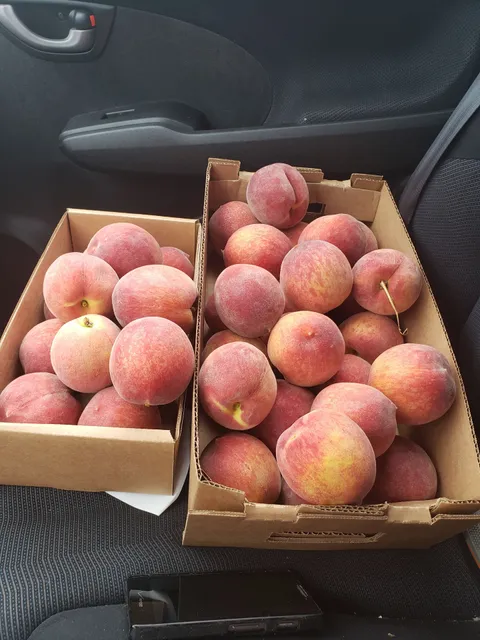 Cherry Creek Orchards