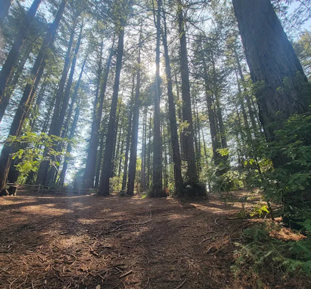 Bay Vista Picnic Area