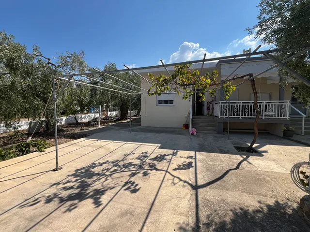 Sivi's Vacation Homes