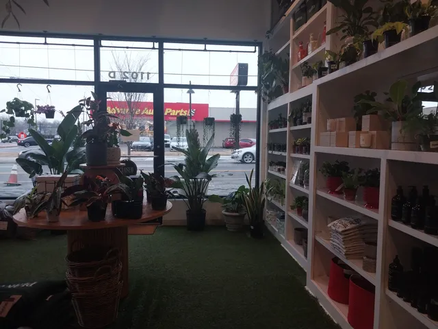 Southwood Home & Garden