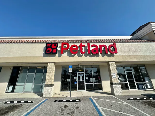 Petland Bradenton