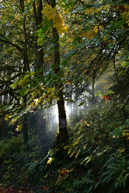 NW 53rd Dr trailhead