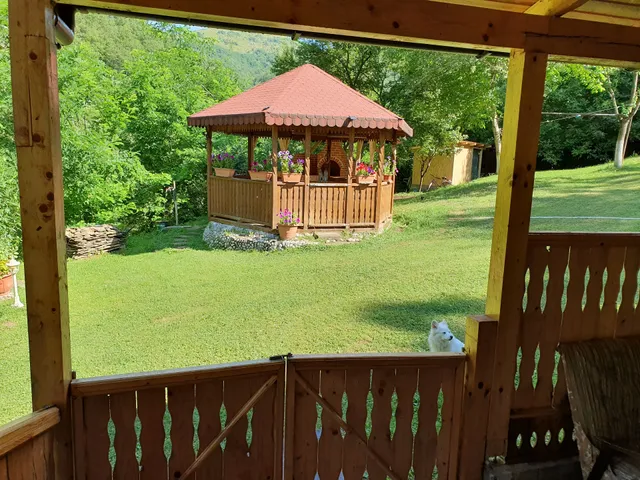 Casa De Vacanta Geoagiu De Sus