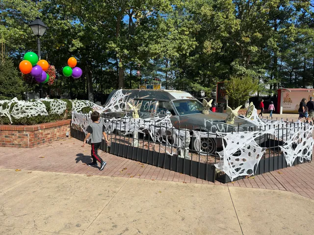 THE FLASH™: Vertical Velocity