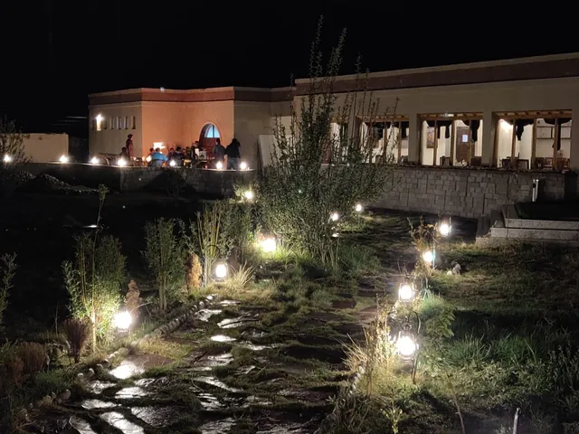 The Driftwood Ladakh Leh