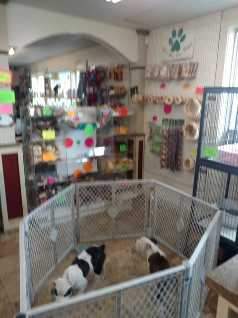 Vinnie's Bow Wow Shoppe