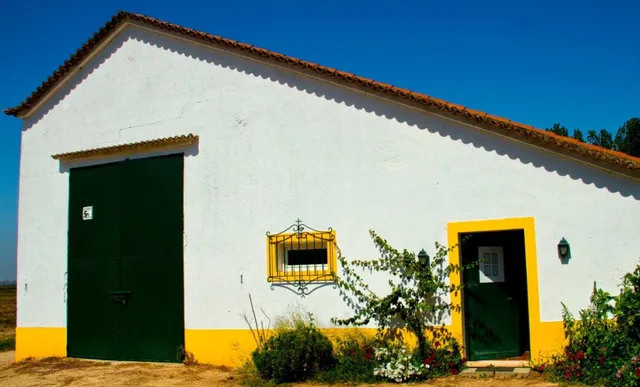 Ribatejo Villa