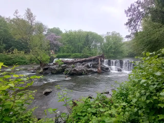 Darby Creek Trail Drexel Hill