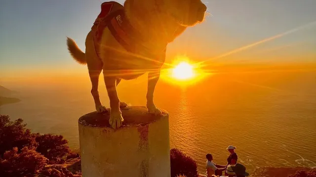 Lion’s Head hike Cape Town