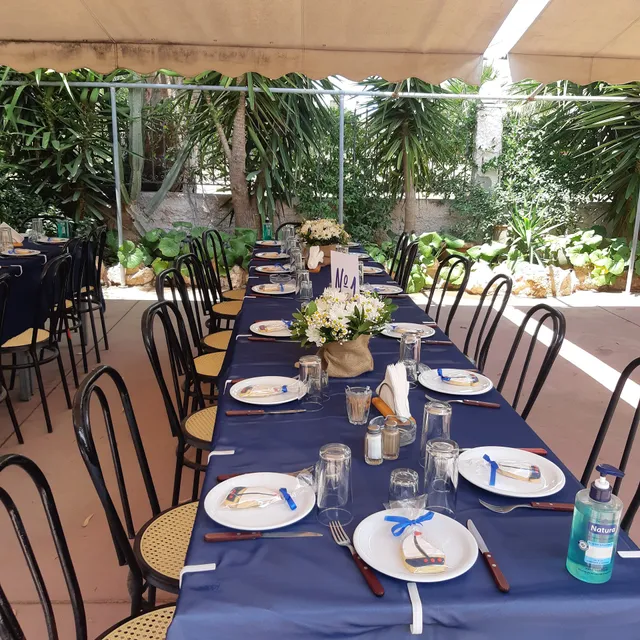 Τα Ευκάλυπτα