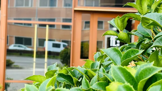 Hotel Autoespresso Venice