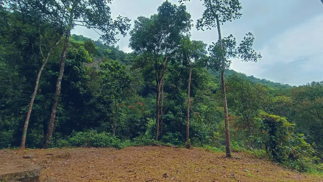 Hidden Escape EcoStay