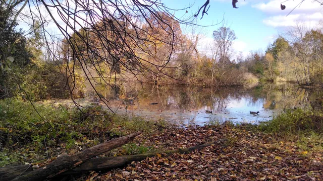 Scarlett-Mitchell Nature Area