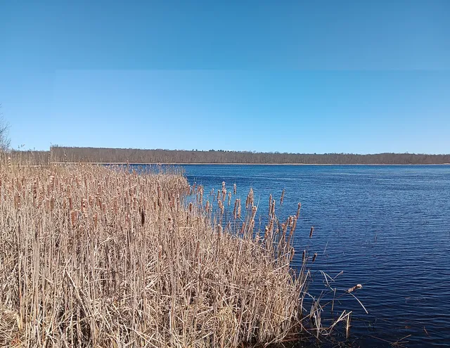Duck Lake Wildlife Management Area