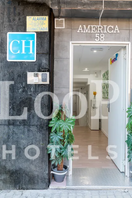 LooP América Adults Only