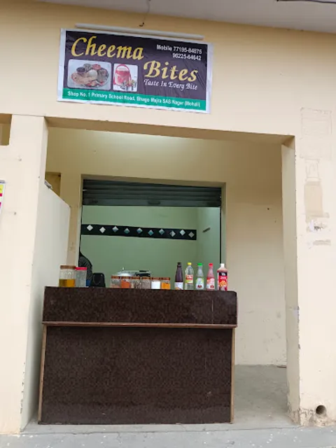 Cheema Bites