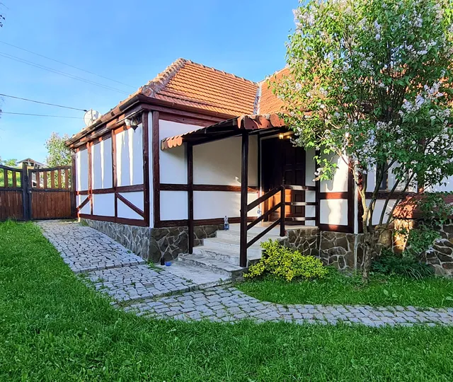 Pensiunea Vatra Șinteului