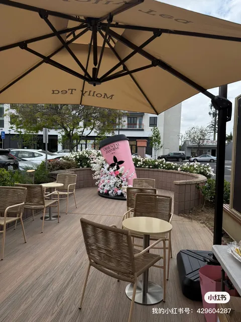 Molly Tea (San Gabriel)