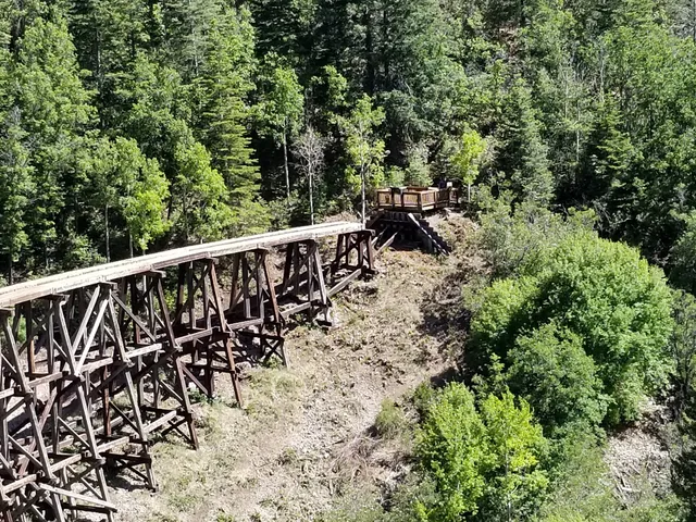 Trestle Vista Observation Site+bridge