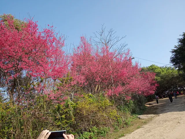 Hutoushan highest open ground