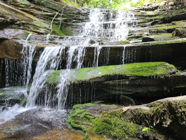 Turkey Creek Falls
