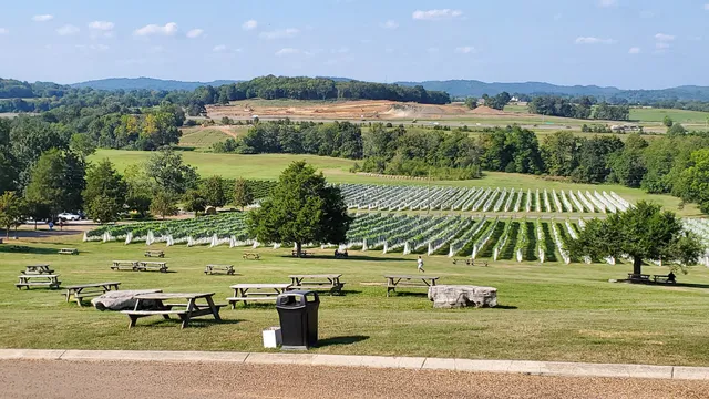 Barrels of Fun Nashville