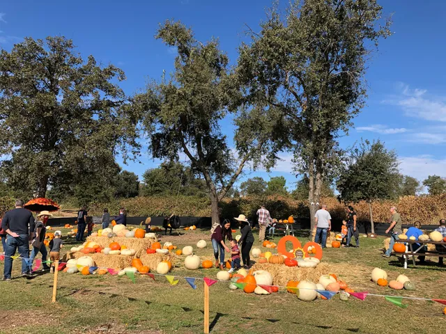 Loomis Pumpkin Patch