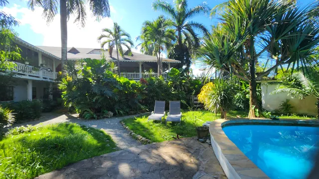 Ally's Cabarete Surf Camp