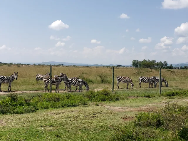 Soysambu Conservancy Main Gate