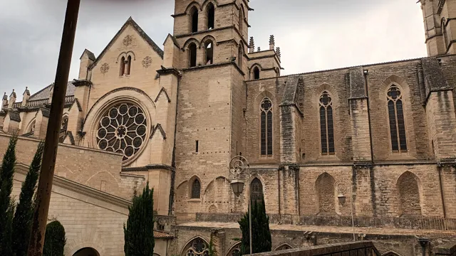 ancienne faculté de médecine montpellier