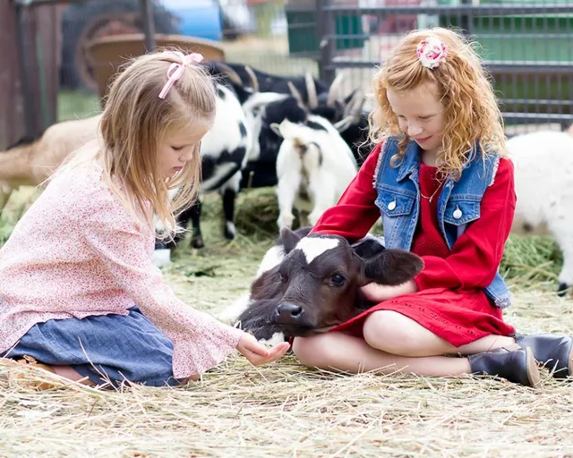 Hee Haw Farms @ Oliver’s Place