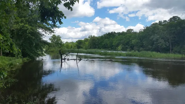Rogue River Nature Trail Phase II (Access at Peppler Park)